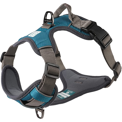 Best Dog Harnesses For Dachshunds