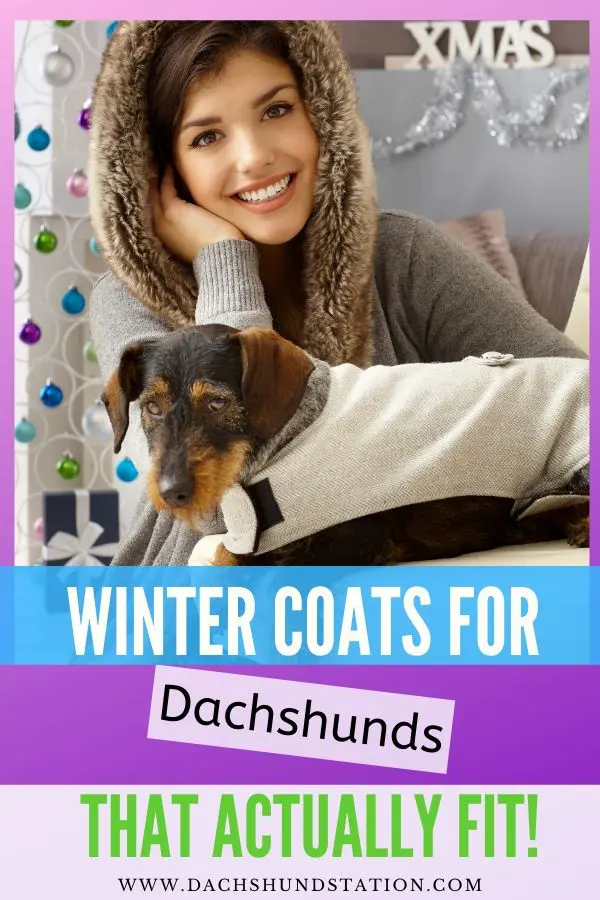 winter coats for dachshunds (2)