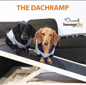 Best Holiday Gifts For Dachshunds