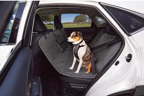 Photo Credit: Sleepypod, dog seat belts