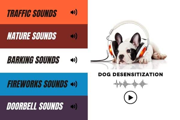 dog desensitization playlist