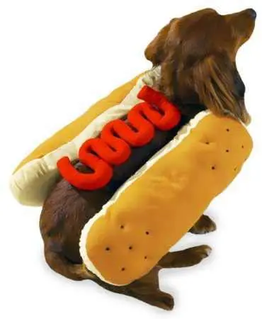 dachshund wearing hot dog costume for halloween
