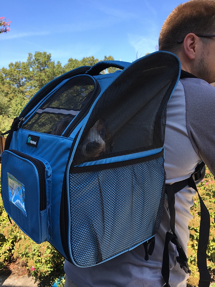 Best Dog Backpack for Miniature Dachshunds