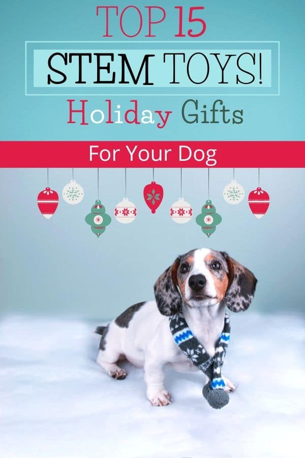 15 Affordable STEM Holiday Gifts For EVERY DOG