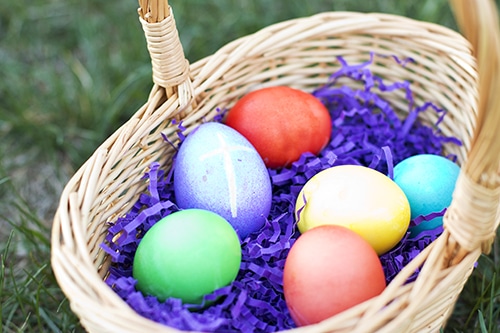 Easter Toxins for Dogs