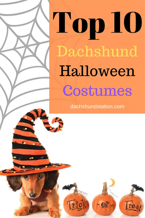 halloween costumes for dachshunds