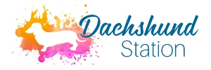 Dachshund Station Logo