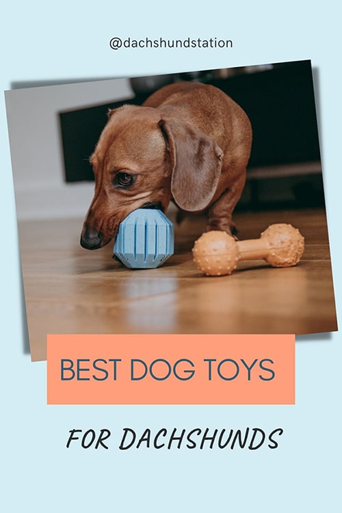 best dachshund dog toys