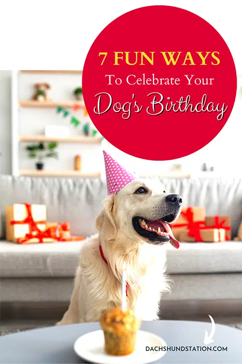 Dog Birthday Ideas